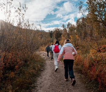 Del sendero a la cumbre: Descubre los tipos de calzado ideales para cada terreno montañoso