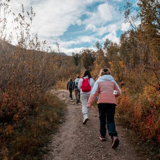 Del sendero a la cumbre: Descubre los tipos de calzado ideales para cada terreno montañoso