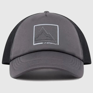 Box Trucker Hat