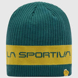 Beta Beanie43