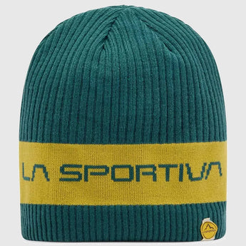 Beta Beanie43